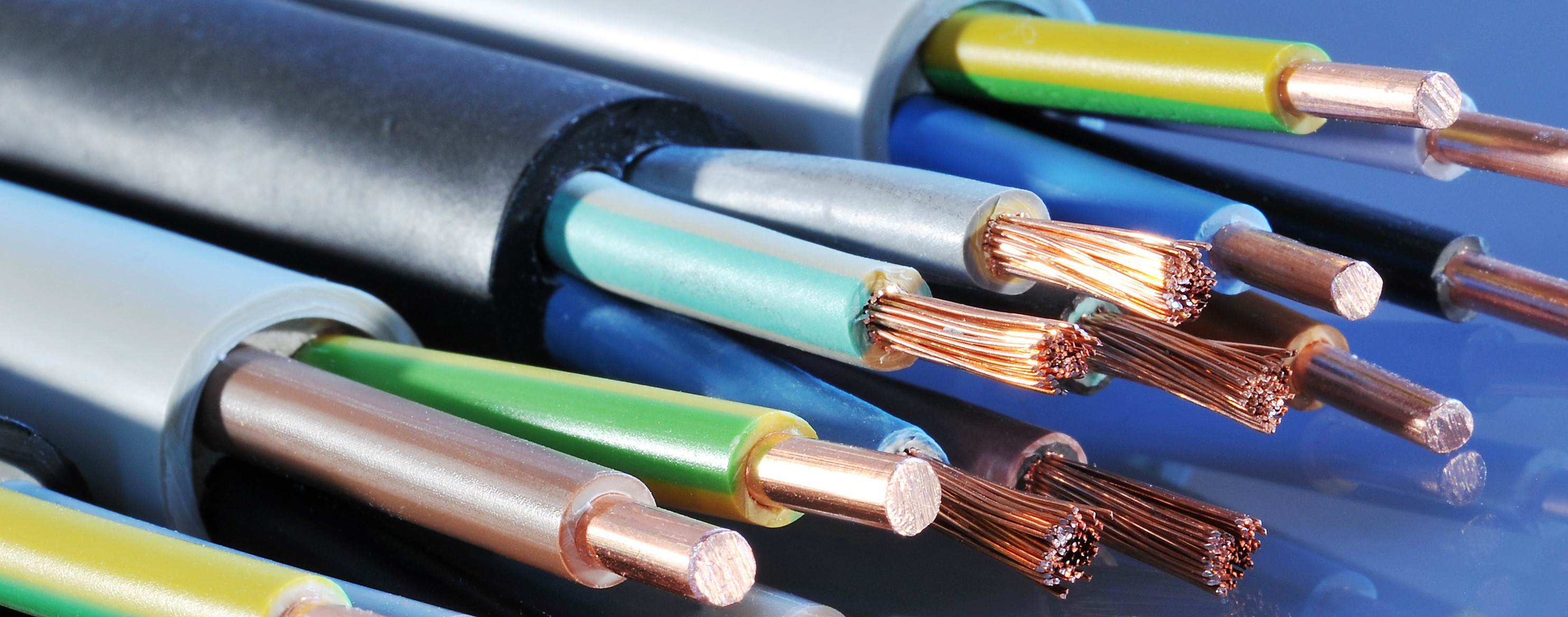 Quality You Can Trust