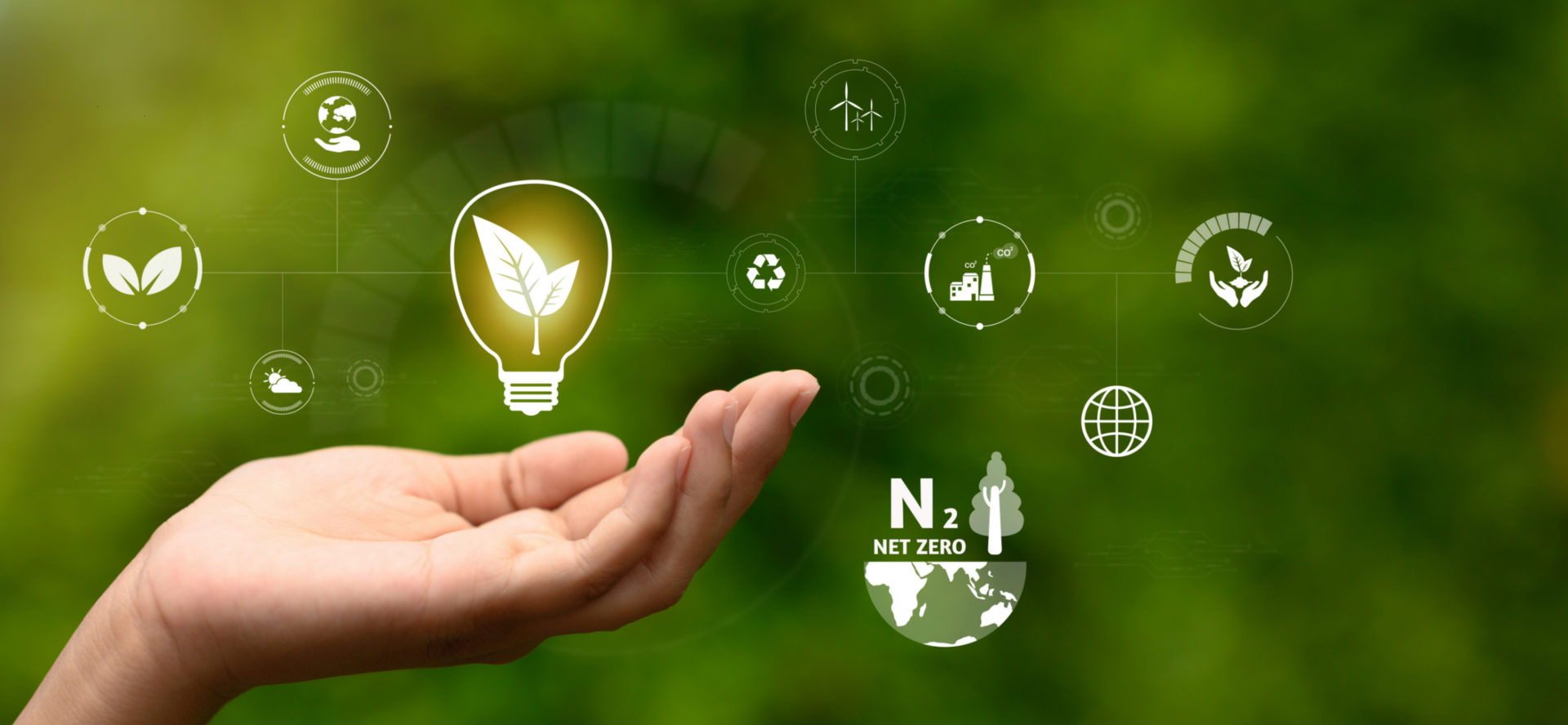 Building a Greener Tomorrow